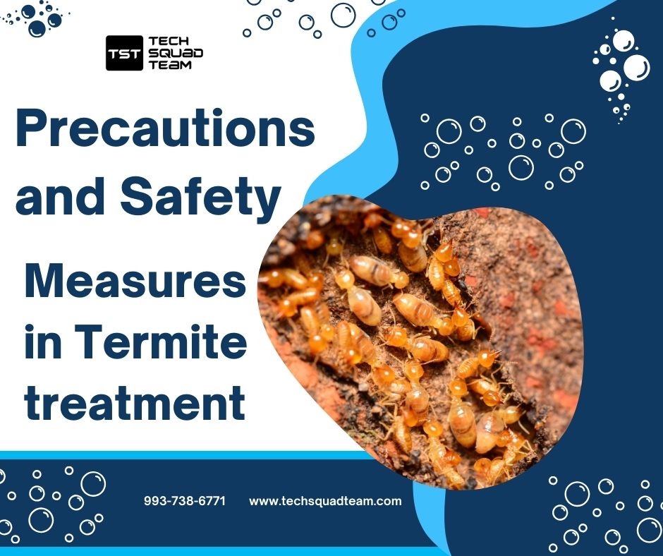 Precautions and Safety Measures in Termite treatment