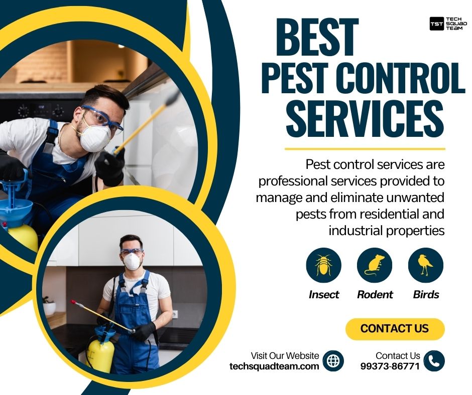 Best Pest Control Services