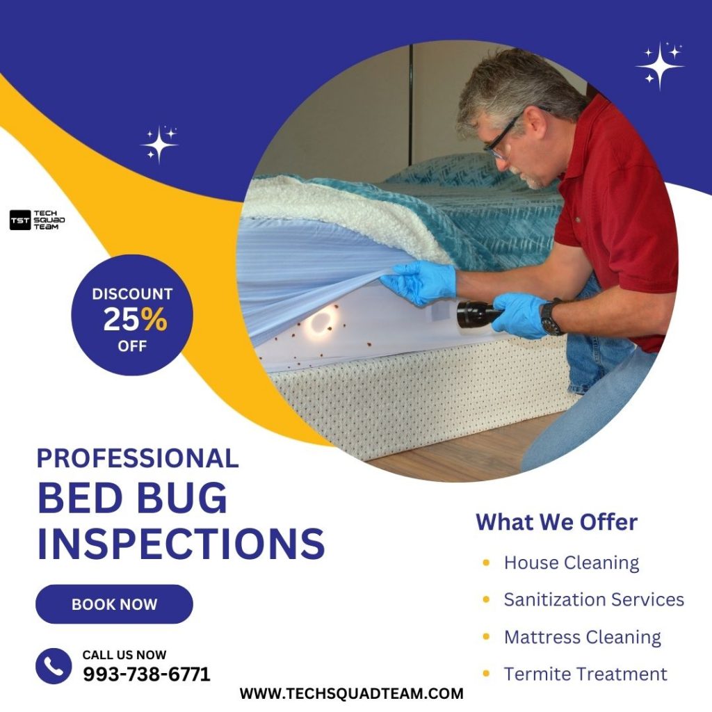 Professional Bed Bug Inspections